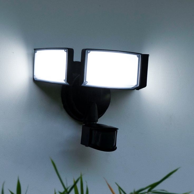 motion security light